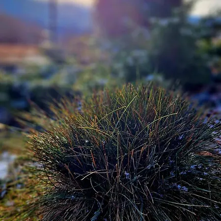 Widokowo - Z Widokiem Na Sniezke Z Jacuzzi I Sauna *