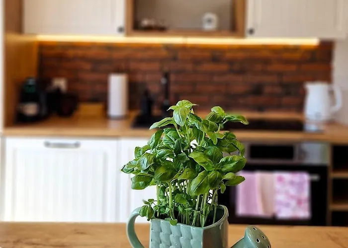 Widokowo - Z Widokiem Na Sniezke Z Jacuzzi I Sauna Σαλέ *