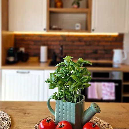 Widokowo - Z Widokiem Na Sniezke Z Jacuzzi I Sauna 木屋 *