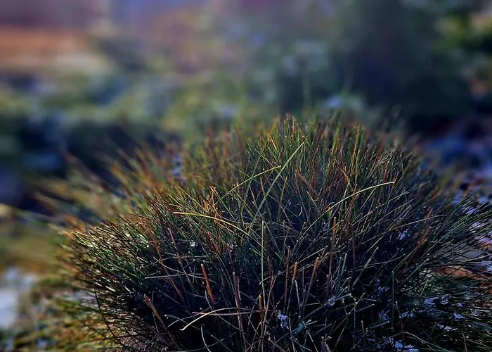 Widokowo - Z Widokiem Na Sniezke Z Jacuzzi I Sauna *