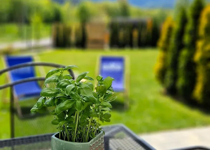 Widokowo - Z Widokiem Na Sniezke Z Jacuzzi I Sauna Horská chata